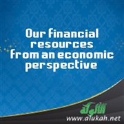 Our financial resources from an economic perspective