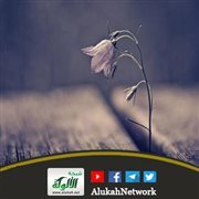مر على زواجي ثلاثة أشهر وما زلت بكرا