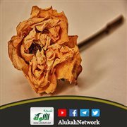 حياتي ممزقة