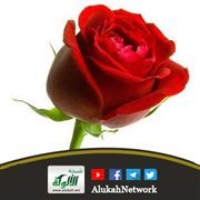 صديق والدي يريد خطبتي