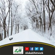 فرص وكنوز ليالي الشتاء