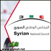 المجلس الوطني السوري.. عام من الفشل!!