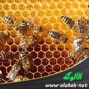 من عجائب المخلوقات : القرآن وأمة النحل