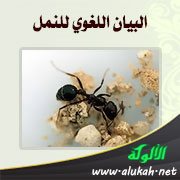 البيان اللغوي للنمل