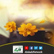 حقوق المرأة (1)