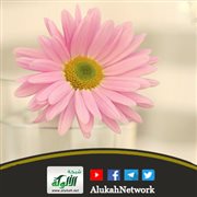 فرحك وسعادتك بيدك (خطبة)