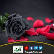 تركت خطيبي وأشعر بالذنب لأنه يحبني