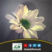 ثمرات اتصاف المسلم بالرحمة
