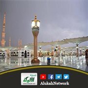 دقة المدينة و زعتر غزة